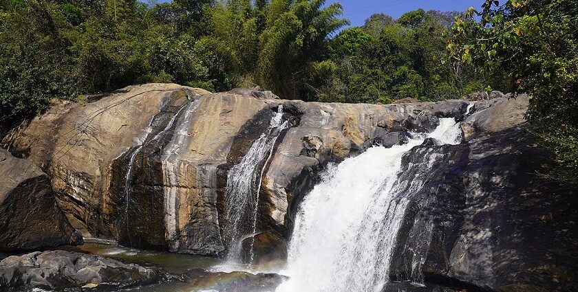 Capture the beautiful scenic views of Ripple waterfall in Munnar on the trip