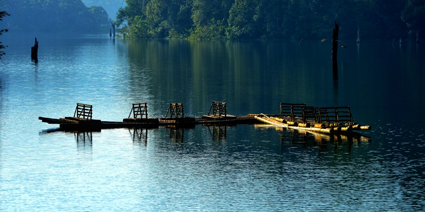 Periyar National Park, Thekkady is one of the top places to visit in Kerala in October.