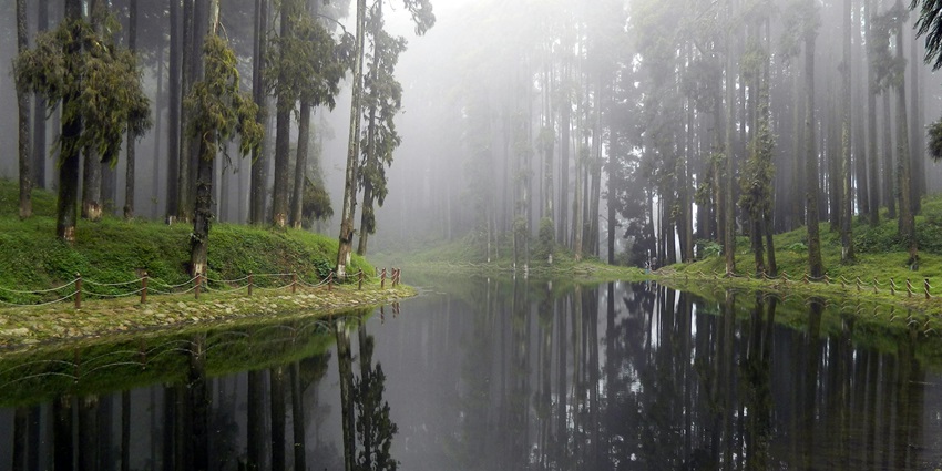 View of river Between Trees and Grass - one of the best offbeat places near Darjeeling