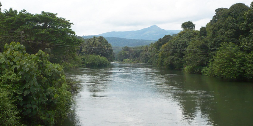 Meenachil River flowing through greenery under a clear sky - near Thindillam Waterfall