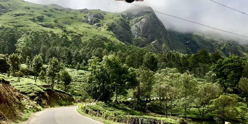 The excellent roads provide surreal road travel to reach Neriamangalam Waterfalls.