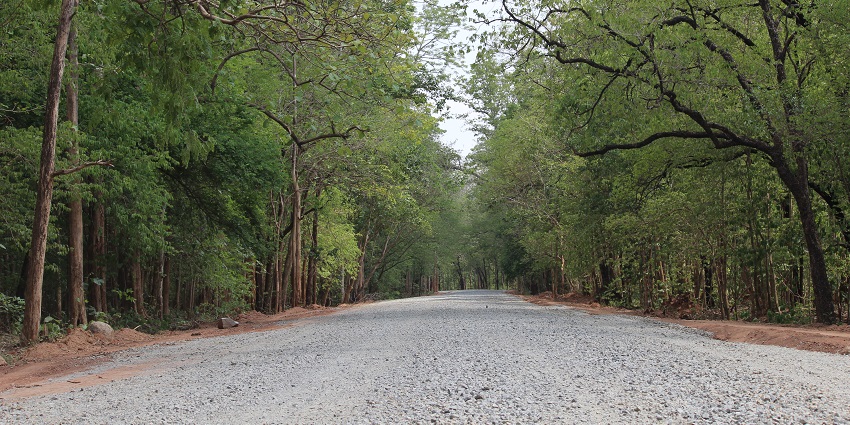 Explore this Wildlife Sanctuary during vibrant summers and with snow covered hills in winter.