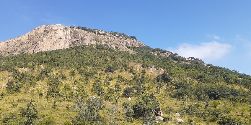 Rock climbing in India is one of the most fun and adventurous activities to do with friends