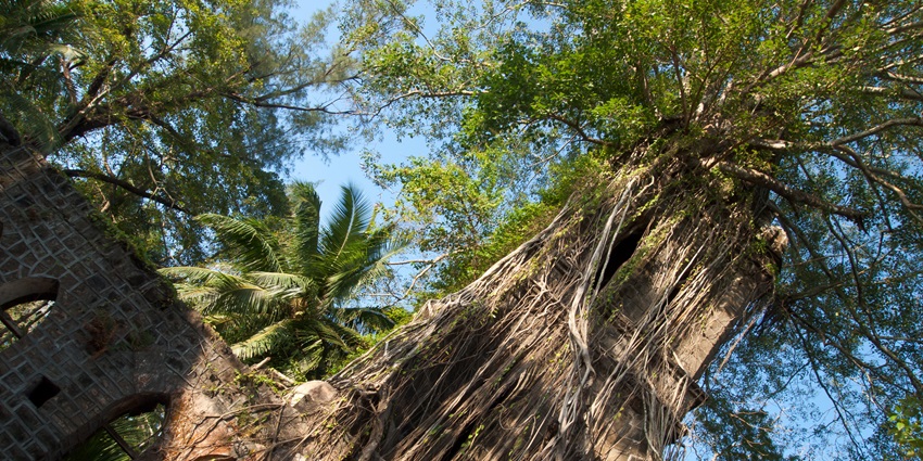 Enjoy the alluring beauty of Ross Island that is located near Mount Harriet National Park