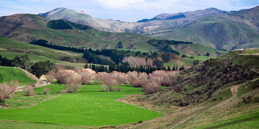The lush green and rural landscapes of New Zealand provide the perfect backdrop
