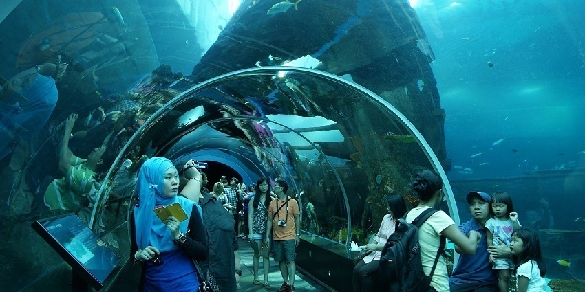 S.E.A. Aquarium is one of the best places to visit in Sentosa Island to see marine life.