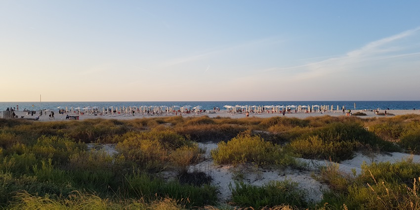 A breathtaking view of Saadiyat Beach, which is one of the best beaches in Abu Dhabi.