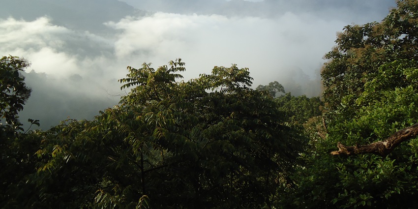This viewpoint offers surreal views of the Western Ghats , ideal for photography and relaxing.