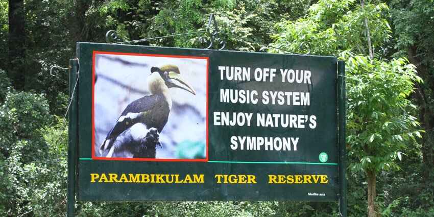 Get a glimpse of wilderness in the natural habitat with things to do in Athirapally
