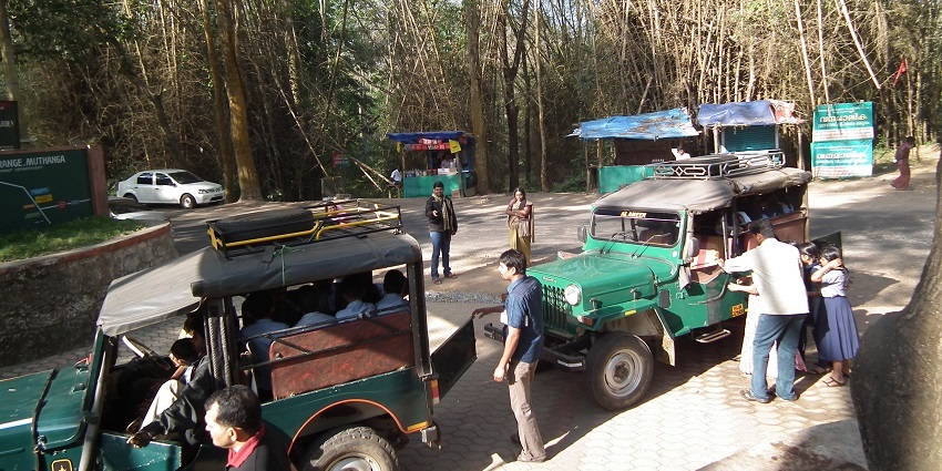 Jeeps are used during the safaris in WWS which provide an exciting and adventurous experience to the travellers.