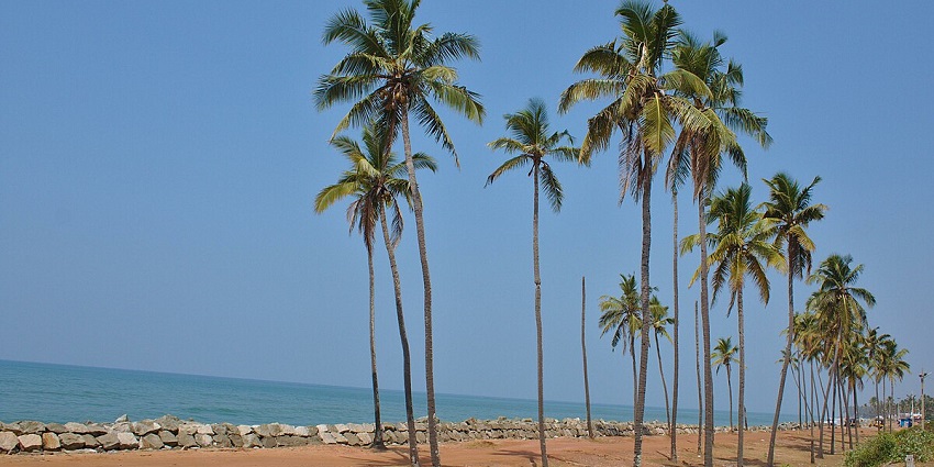Visit Kappil Beach to cherish panoramic views of the sea and the surrounding area.
