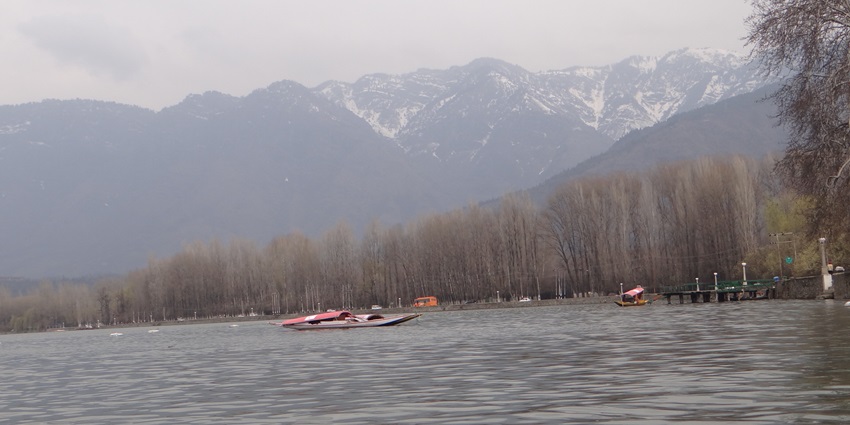 A view of a shikaras in a lake in Kashmir that is surrounded by trees and mountains.