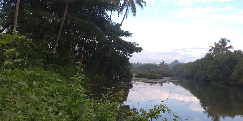 Sarovaram Bio Park is one of the best places to visit in Kozhikode for couples on a trip.