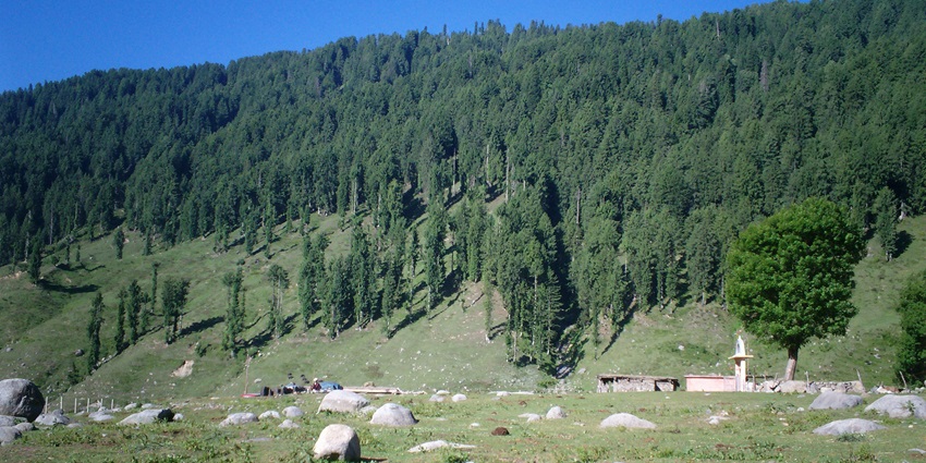 A view of Sarthal forest in the Kathua district, near the Kishtwar National Park.