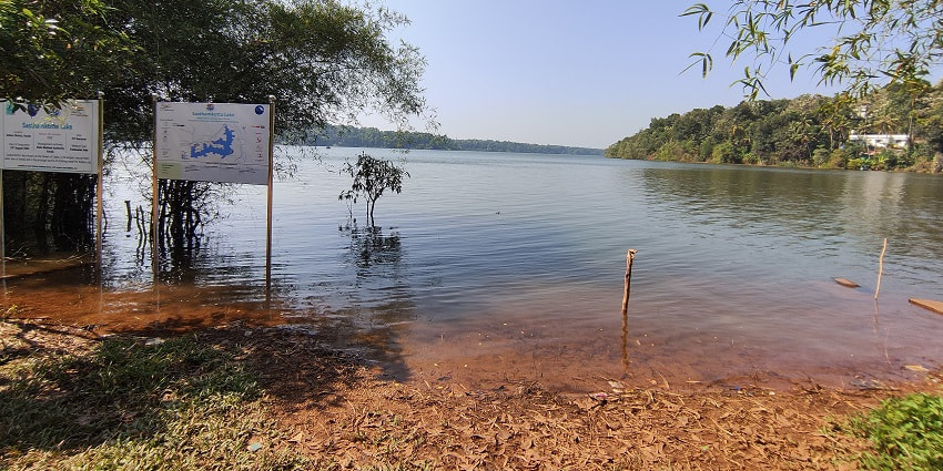 Relax and enjoy your quality time near the serene waters of Sasthamkotta Lake, Kerala.