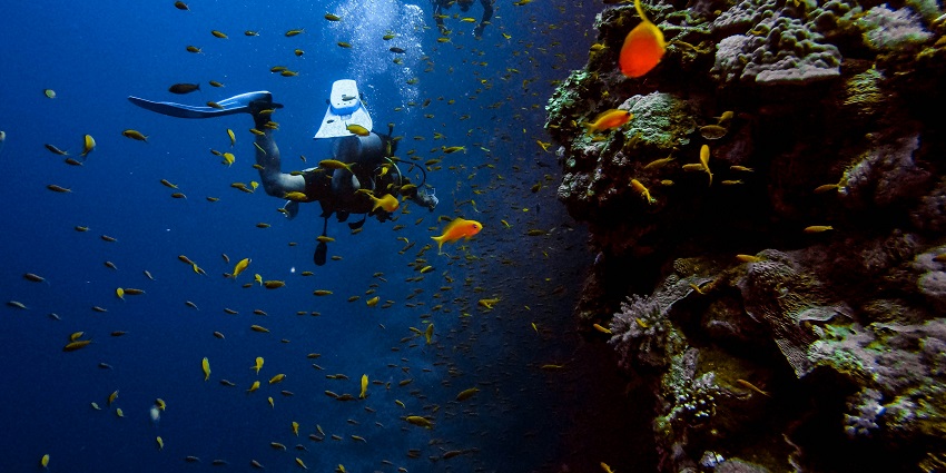 Partaking in enthralling water activities is one of the best things to do in Kovalam.