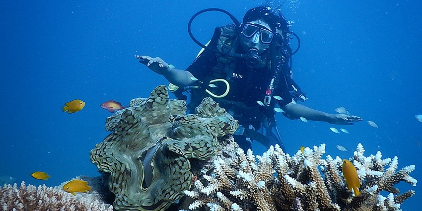 South Button is one of the best places for enjoying scuba diving near the Beach.