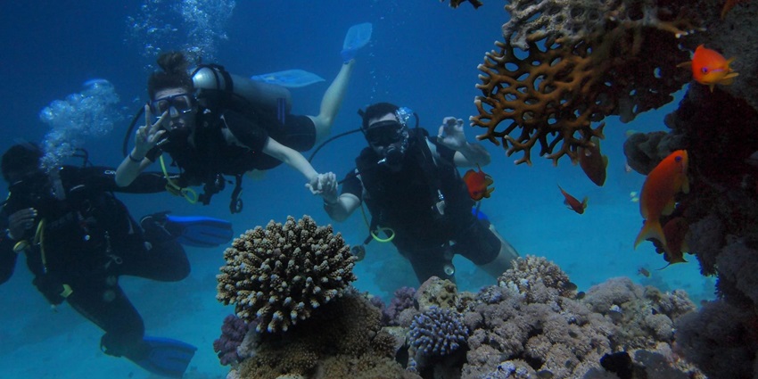 Watch out for the colourful coral reefs while diving in the clear waters of Andaman Sea.