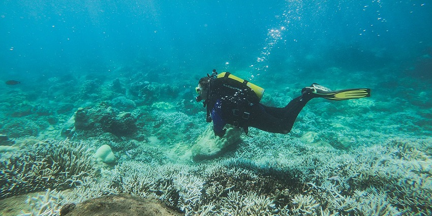 Experience the beautiful coral reefs, sandy bottoms and steep walls in the Andaman Sea.