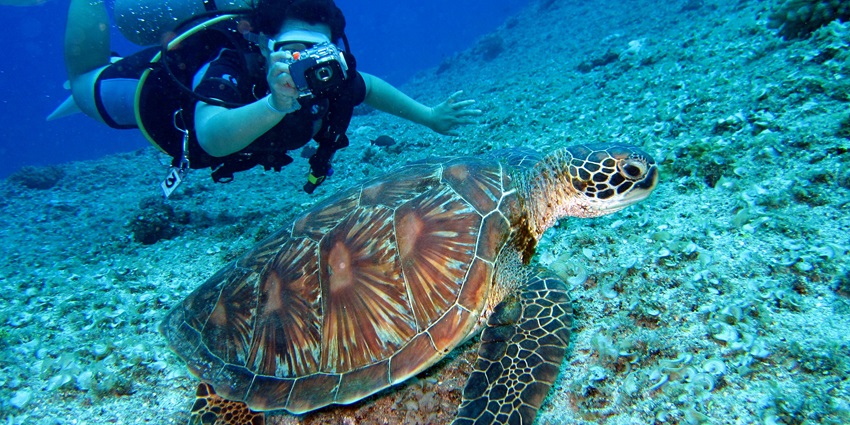 Travellers enjoying an adrenaline rush by scuba diving in Andaman Islands’ clear blue water