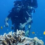 Scuba diving in India - Witness the amazing coral reef in India