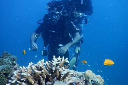 Scuba diving in India - Witness the amazing coral reef in India