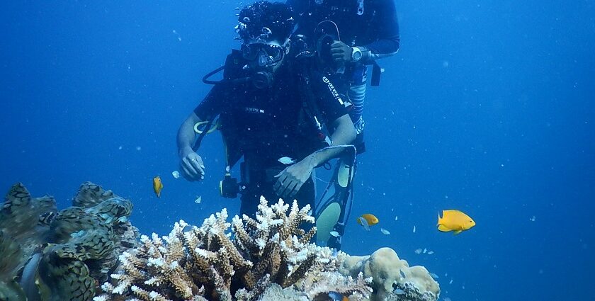 Scuba diving in India - Witness the amazing coral reef in India