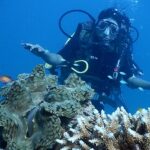 Travellers can enjoy scuba diving as it is one of the best things to do in Andaman Islands