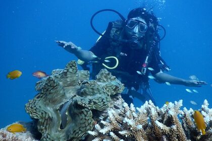 Travellers can enjoy scuba diving as it is one of the best things to do in Andaman Islands