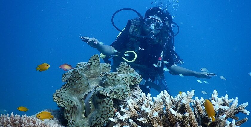 Travellers can enjoy scuba diving as it is one of the best things to do in Andaman Islands