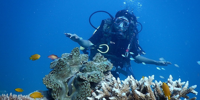 A breathtaking view of a female, scuba diving under water. The marine life looks splendid.