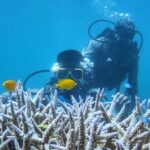 Scuba Diving in Port Blair is one of the best underwater activities to perform