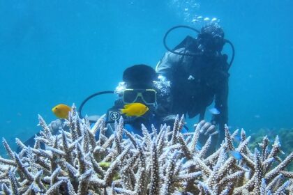 Scuba Diving in Port Blair is one of the best underwater activities to perform