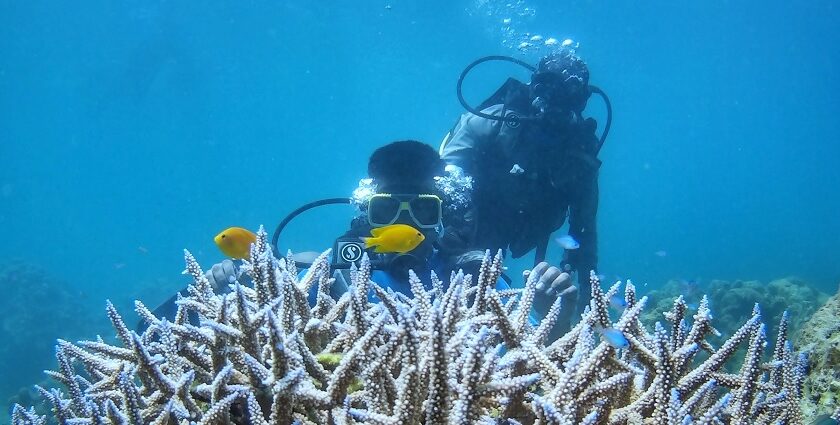 Scuba Diving in Port Blair is one of the best underwater activities to perform