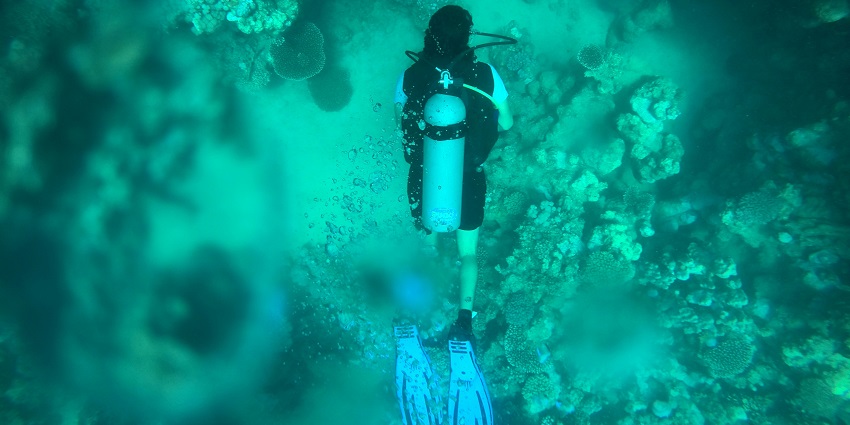 Scuba diving is one of the best activities to try in Kerala for an adventurous time.
