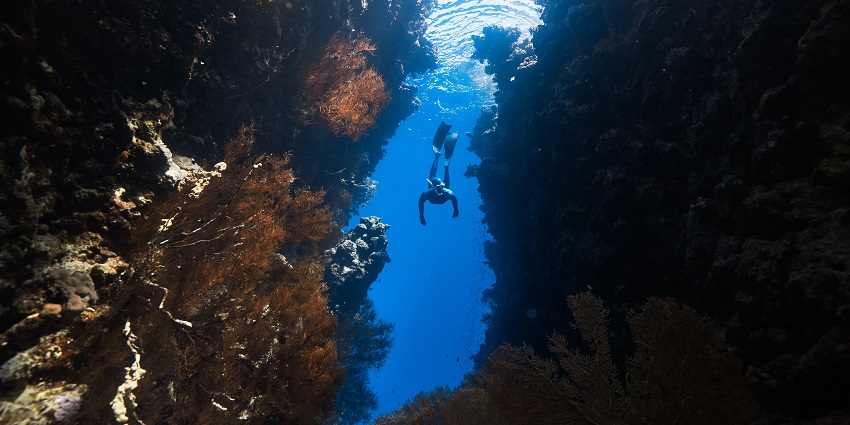 Scuba diving is one of the most thrilling water sports in Kochi for all adventure seekers.