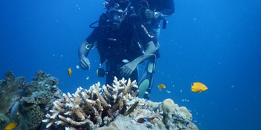 Scuba diving is one of the popular water sports in Havelock Island to enjoy marine life