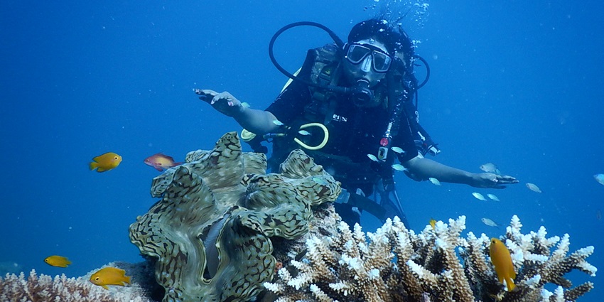 Witness the beauty of stunning corals and marine animals while scuba diving on this island