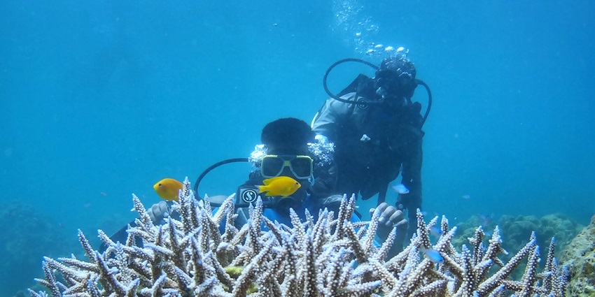 Add kick to your adrenaline rush by adding scuba diving on Elephant Island on your bucket list