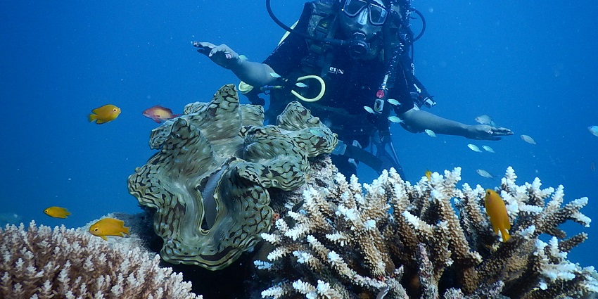 Sea diving in the clean seas lets you see the incredible marine life of the Andaman Sea.