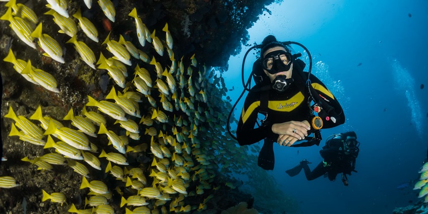 Sea walking, one of the best adventure sports in Andaman helps you explore marine life.