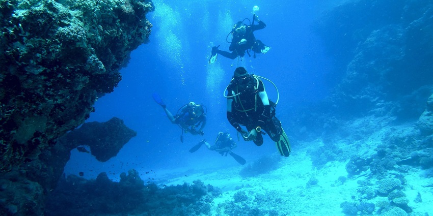 A picture of a diver walking on the sea bed with various marine animals in sight