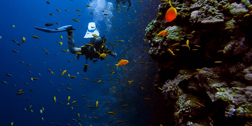 Indulge in various exciting water activities like sea walking and explore marine life.