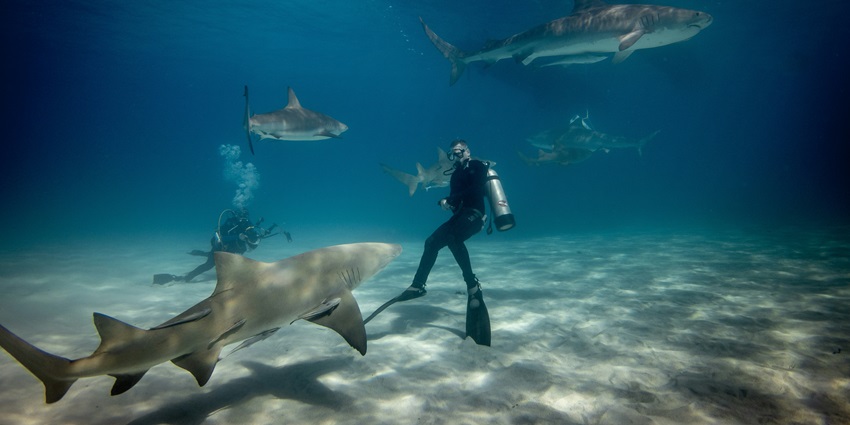 Sea walking is a famous water activity of North Bay Island to explore marine life.