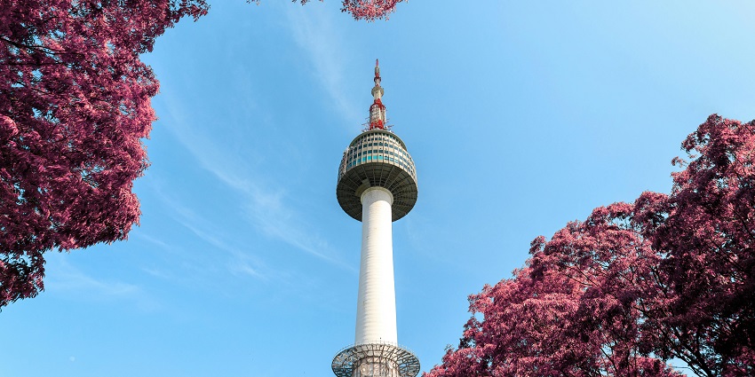 A view of the Seoul tower in South Korea with the backdrop of cherry blossoms