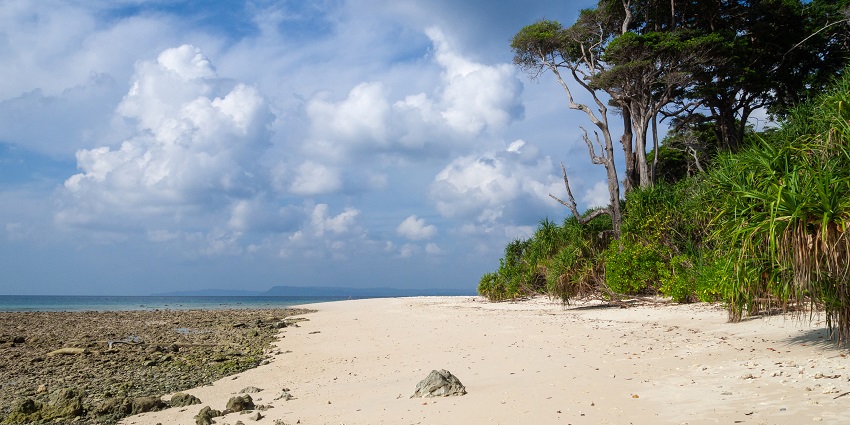 Beach of Neil Island - unmissable in the places to visit in Andaman and Nicobar Island.