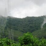 Lush green views of a wildlife sanctuary