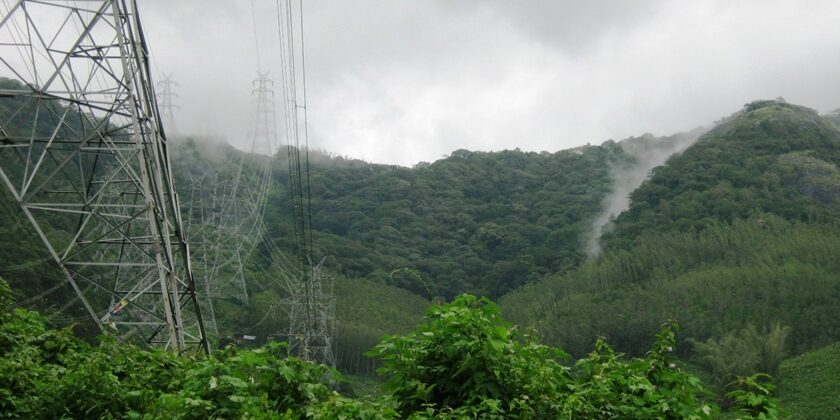 Lush green views of a wildlife sanctuary