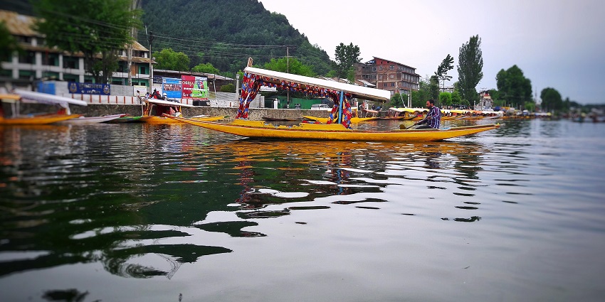 Picturesque view of Shikara festival in Dal Lake - famous festivals in Jammu and Kashmir