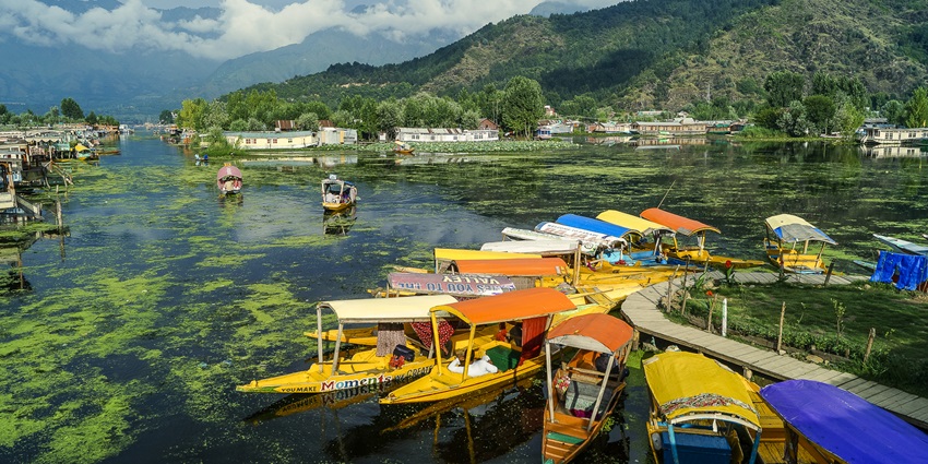 Vibrant houseboats on Dal Lake in Srinagar - one of the places to visit in Kashmir in June.